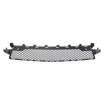 218036 unterer Kühlergrillteil passt für AMG-Line