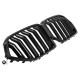 GRILLE FITS FOR BMW X6 G06 SPORT DOUBLE SLAT GLOSS BLACK 