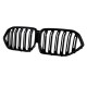 Central Kidney Grilles suitable for BMW X6 G06 (2019-2022) Double Stripe Piano Black