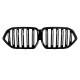 Central Kidney Grilles suitable for BMW X6 G06 (2019-2022) Double Stripe Piano Black