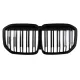 Central Kidney Grille suitable for BMW X7 G07 (2018-2022) Double Stripe Piano Black