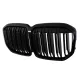 Central Kidney Grille suitable for BMW X7 G07 (2018-2022) Double Stripe Piano Black