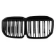 Central Kidney Grille suitable for BMW X7 G07 (2018-2022) Double Stripe Piano Black