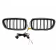 Central Kidney Grilles with LED suitable for BMW 5 Series F10 F11 (2010-2017) Double Stripe