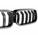 Central Kidney Grilles with LED suitable for BMW 6 Series G32 GT LCI (2020-2023)