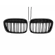 Central Kidney Grilles with LED suitable for BMW X1 F48 Pre-LCI X1L F49 (06.2015-2019)