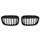 Central Kidney Grilles suitable for BMW X1 SUV F48 Pre-LCI (06.2015-2019) Double Stripe M Design Piano Black